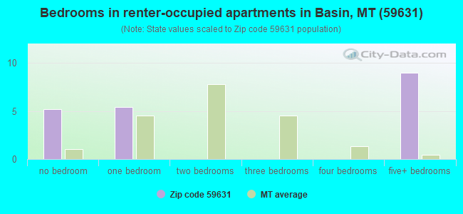 Bedrooms in renter-occupied apartments in Basin, MT (59631) 