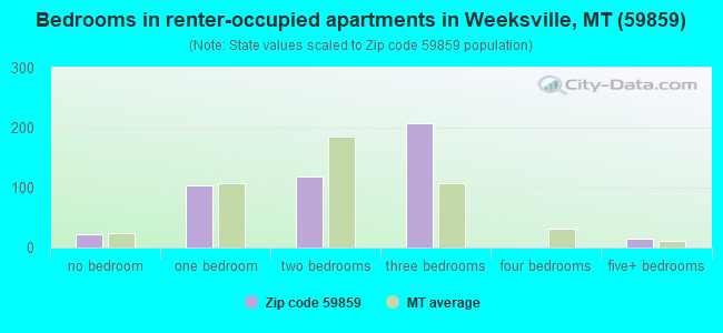 Bedrooms in renter-occupied apartments in Weeksville, MT (59859) 