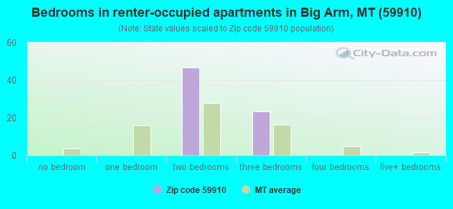 Bedrooms in renter-occupied apartments in Big Arm, MT (59910) 