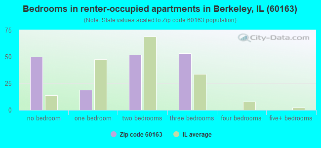 Bedrooms in renter-occupied apartments in Berkeley, IL (60163) 