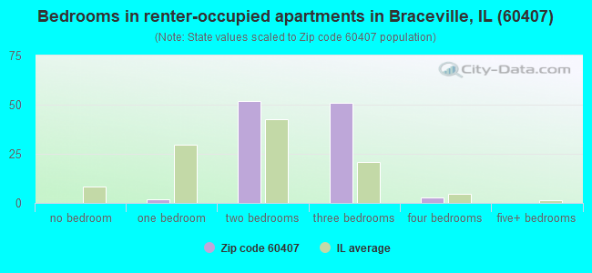 Bedrooms in renter-occupied apartments in Braceville, IL (60407) 