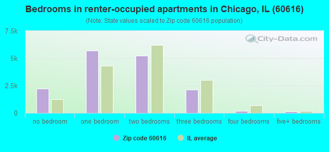 Bedrooms in renter-occupied apartments in Chicago, IL (60616) 
