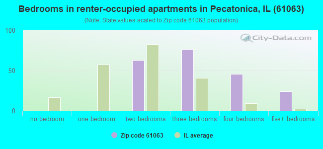 Bedrooms in renter-occupied apartments in Pecatonica, IL (61063) 