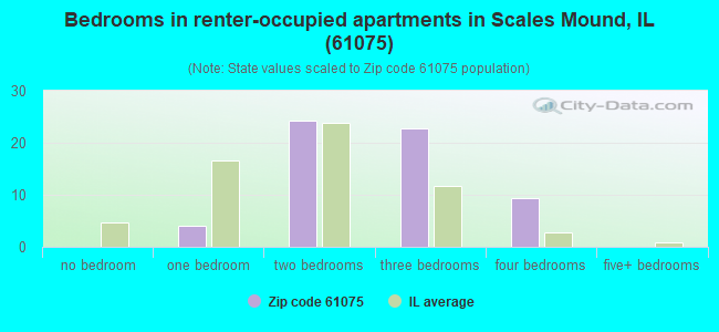 Bedrooms in renter-occupied apartments in Scales Mound, IL (61075) 