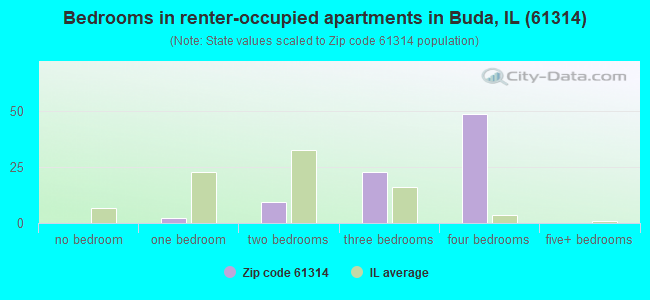 Bedrooms in renter-occupied apartments in Buda, IL (61314) 