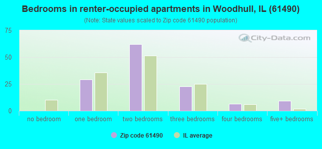 Bedrooms in renter-occupied apartments in Woodhull, IL (61490) 