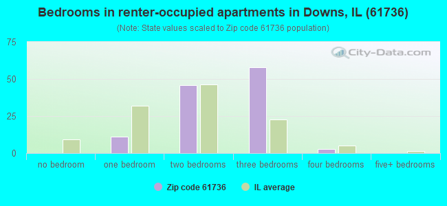 Bedrooms in renter-occupied apartments in Downs, IL (61736) 