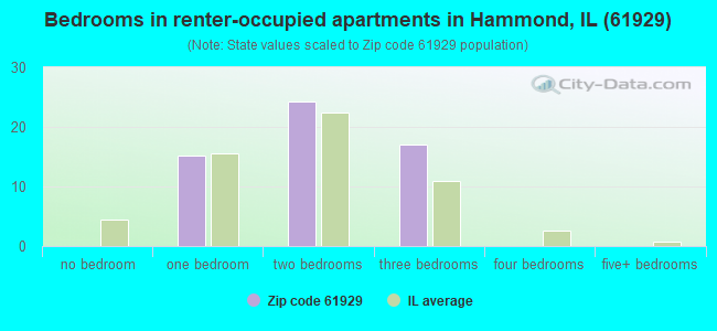 Bedrooms in renter-occupied apartments in Hammond, IL (61929) 