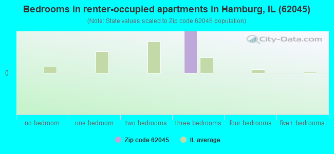 Bedrooms in renter-occupied apartments in Hamburg, IL (62045) 