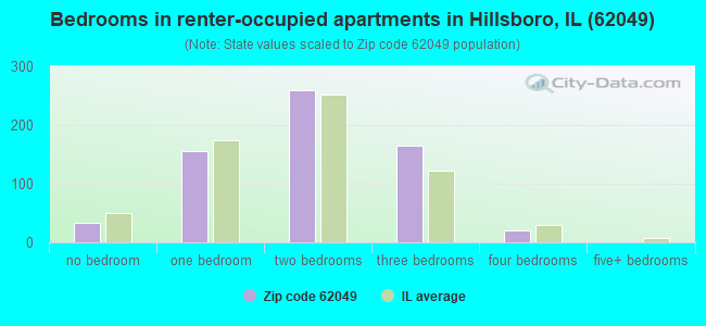 Bedrooms in renter-occupied apartments in Hillsboro, IL (62049) 