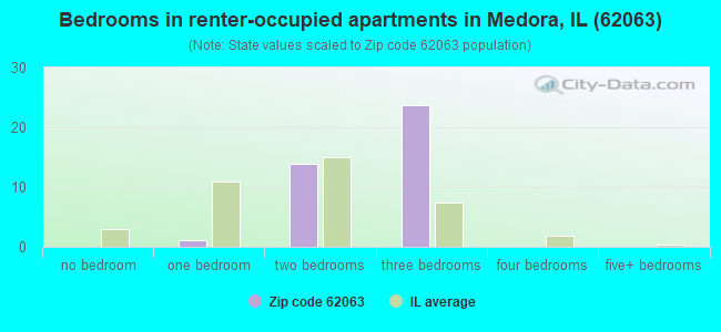 Bedrooms in renter-occupied apartments in Medora, IL (62063) 