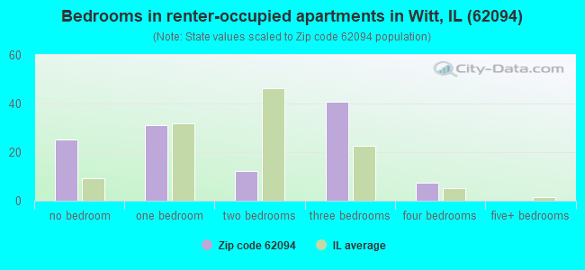 Bedrooms in renter-occupied apartments in Witt, IL (62094) 