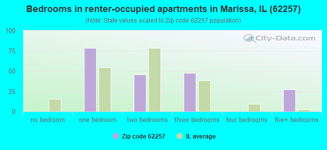 Bedrooms in renter-occupied apartments in Marissa, IL (62257) 