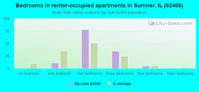 Bedrooms in renter-occupied apartments in Sumner, IL (62466) 