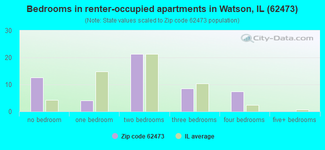 Bedrooms in renter-occupied apartments in Watson, IL (62473) 