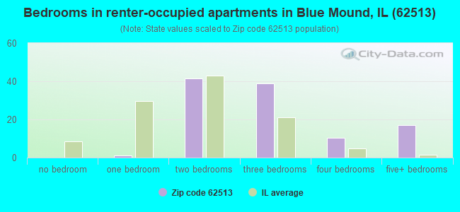Bedrooms in renter-occupied apartments in Blue Mound, IL (62513) 
