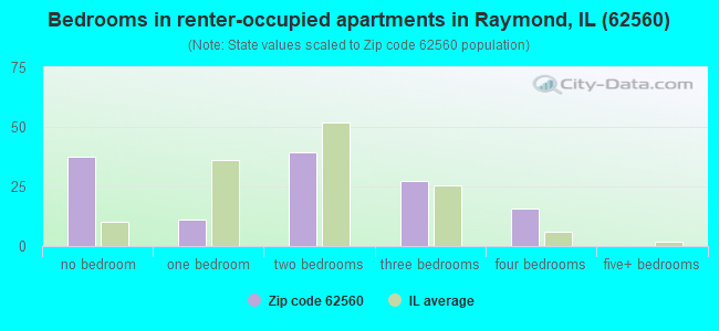 Bedrooms in renter-occupied apartments in Raymond, IL (62560) 