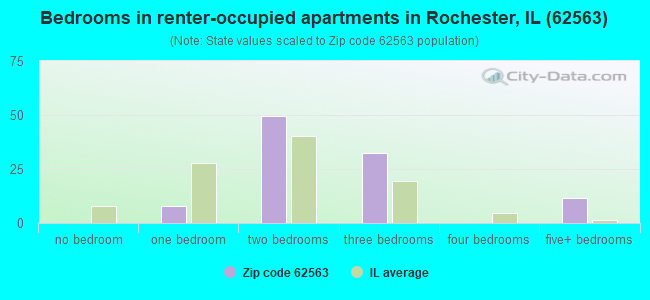 Bedrooms in renter-occupied apartments in Rochester, IL (62563) 