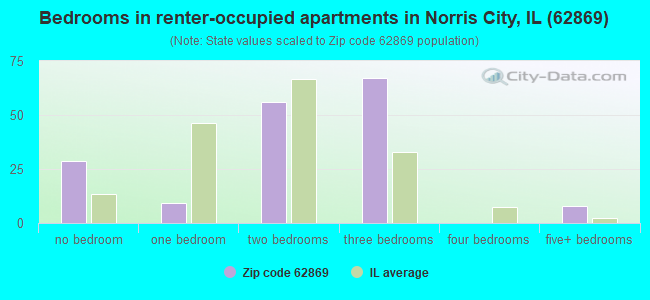 Bedrooms in renter-occupied apartments in Norris City, IL (62869) 