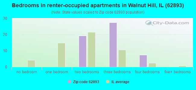 Bedrooms in renter-occupied apartments in Walnut Hill, IL (62893) 