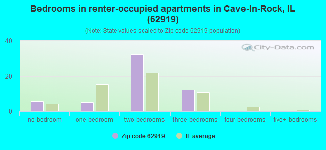 Bedrooms in renter-occupied apartments in Cave-In-Rock, IL (62919) 