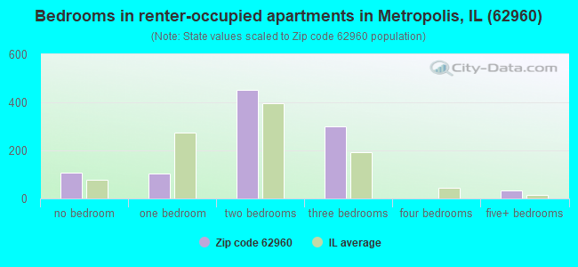Bedrooms in renter-occupied apartments in Metropolis, IL (62960) 