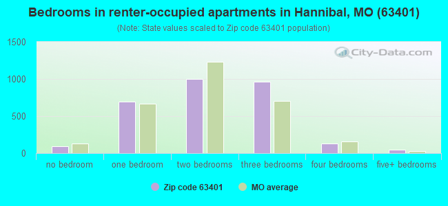 Bedrooms in renter-occupied apartments in Hannibal, MO (63401) 