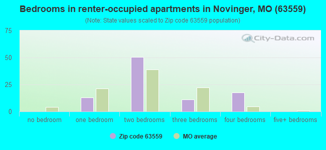 Bedrooms in renter-occupied apartments in Novinger, MO (63559) 