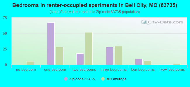 Bedrooms in renter-occupied apartments in Bell City, MO (63735) 