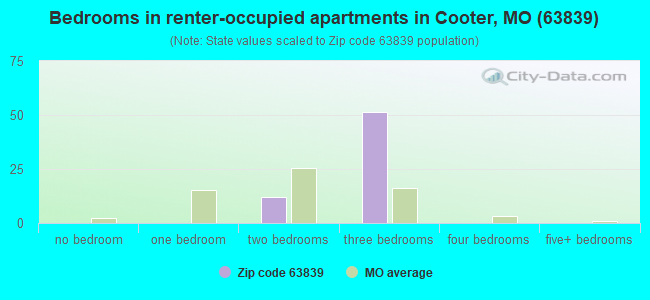 Bedrooms in renter-occupied apartments in Cooter, MO (63839) 