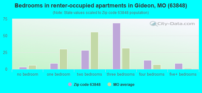 Bedrooms in renter-occupied apartments in Gideon, MO (63848) 