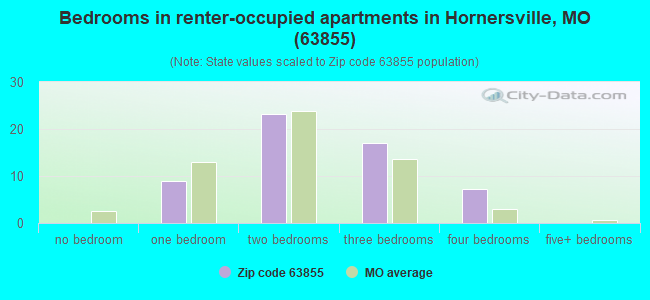 Bedrooms in renter-occupied apartments in Hornersville, MO (63855) 