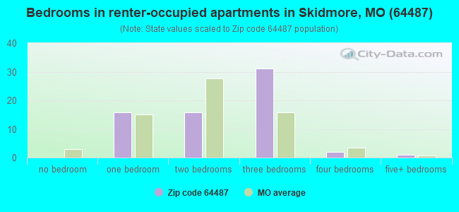 Bedrooms in renter-occupied apartments in Skidmore, MO (64487) 