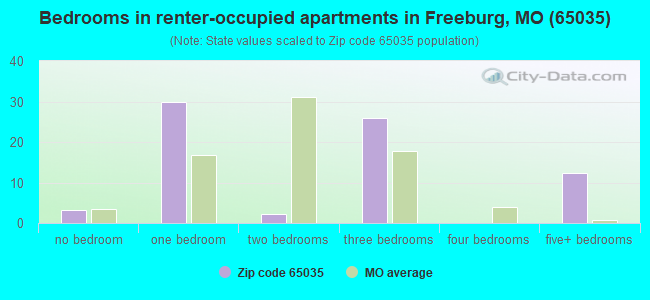 Bedrooms in renter-occupied apartments in Freeburg, MO (65035) 
