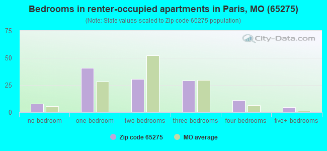 Bedrooms in renter-occupied apartments in Paris, MO (65275) 