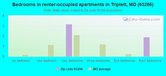 Bedrooms in renter-occupied apartments in Triplett, MO (65286) 
