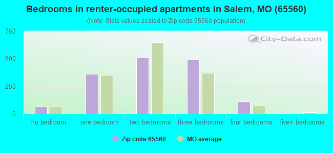 Bedrooms in renter-occupied apartments in Salem, MO (65560) 