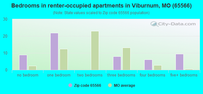 Bedrooms in renter-occupied apartments in Viburnum, MO (65566) 