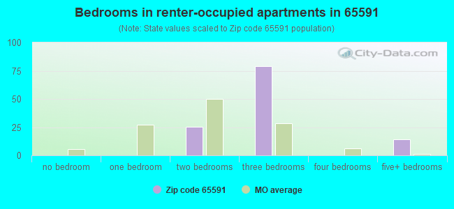 Bedrooms in renter-occupied apartments in 65591 