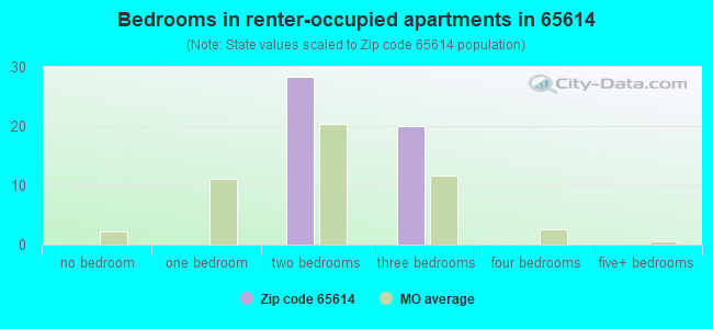 Bedrooms in renter-occupied apartments in 65614 