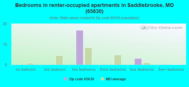 Bedrooms in renter-occupied apartments in Saddlebrooke, MO (65630) 