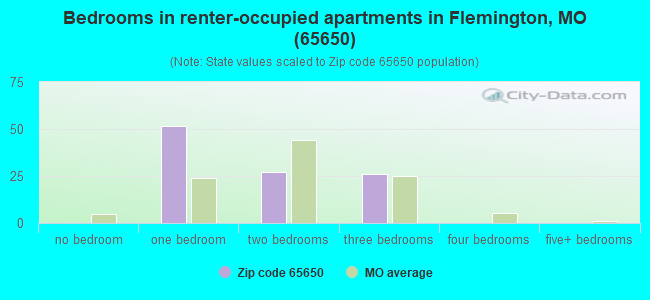 Bedrooms in renter-occupied apartments in Flemington, MO (65650) 