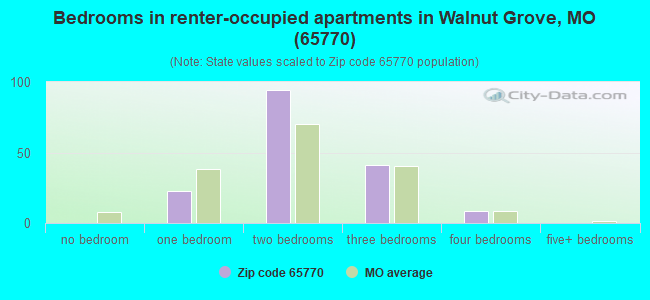 Bedrooms in renter-occupied apartments in Walnut Grove, MO (65770) 