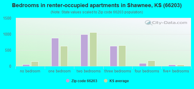 Bedrooms in renter-occupied apartments in Shawnee, KS (66203) 