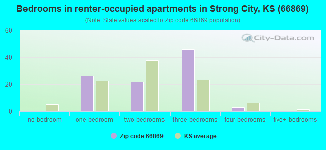 Bedrooms in renter-occupied apartments in Strong City, KS (66869) 