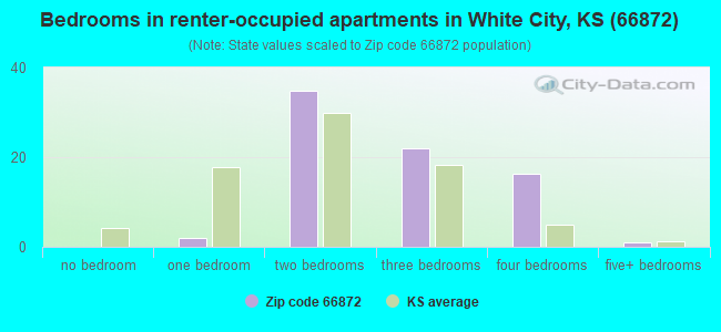 Bedrooms in renter-occupied apartments in White City, KS (66872) 