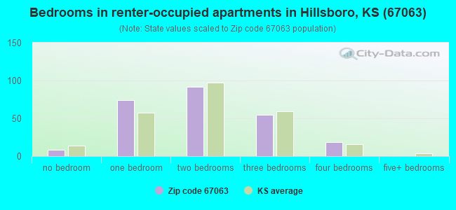 Bedrooms in renter-occupied apartments in Hillsboro, KS (67063) 
