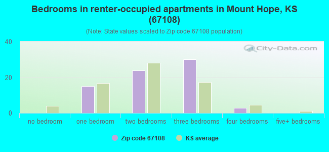 Bedrooms in renter-occupied apartments in Mount Hope, KS (67108) 