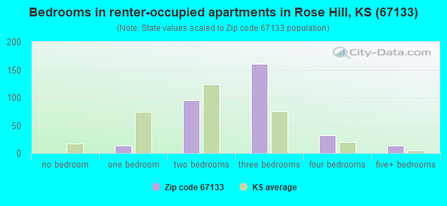 Bedrooms in renter-occupied apartments in Rose Hill, KS (67133) 