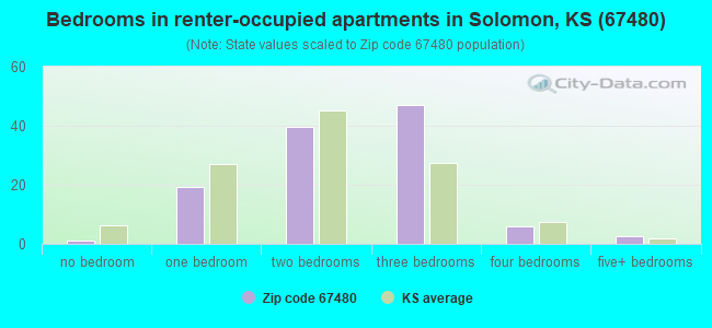 Bedrooms in renter-occupied apartments in Solomon, KS (67480) 